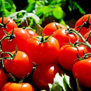 Cooking Produce Vegetable